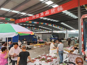 路南區(qū)再添購(gòu)物新體驗(yàn)——假期水果零售好去處推薦