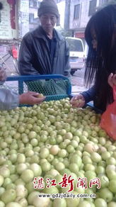 春暖果香價更親，應季鮮果正當時